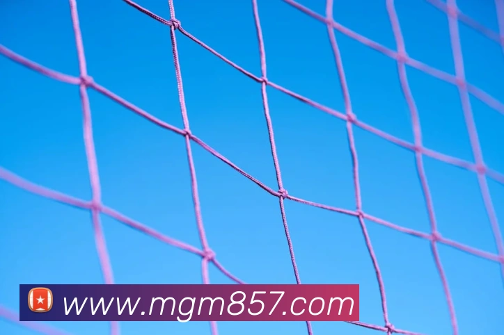APP界面展示